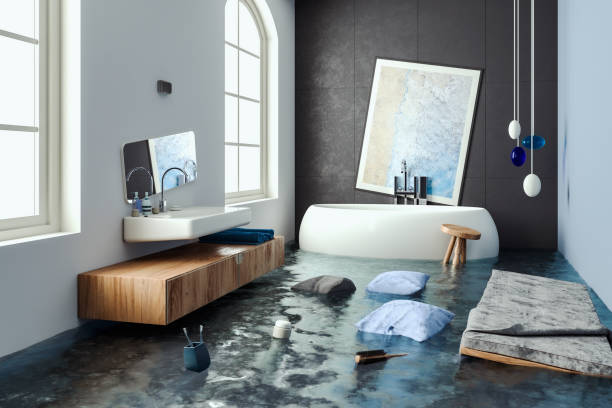 Best Local water damage restoration  in Canby, MN