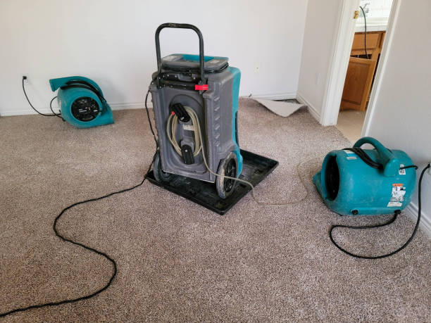Best Water damage restoration insurance claims  in Canby, MN