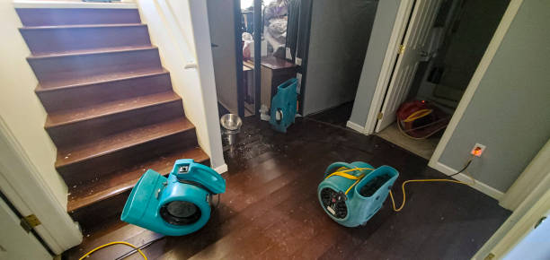 Best Residential water damage restoration  in Canby, MN