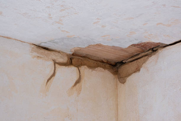 Best Sewage cleanup and water damage restoration  in Canby, MN