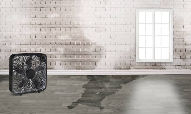 Professional Water damage restoration in MN
