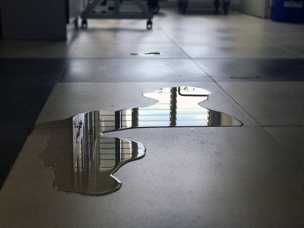 Best Emergency water damage restoration  in Canby, MN