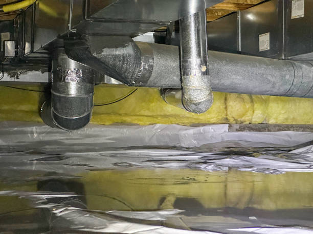 Carpet water damage restoration in MN