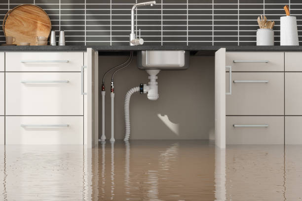 Best 24-hour water damage restoration  in Canby, MN