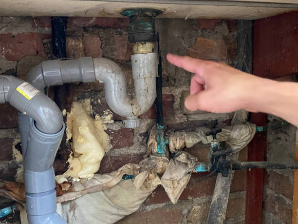 Best Carpet water damage restoration  in Canby, MN