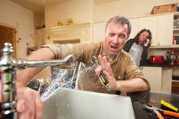 Best 24/7 water damage repair  in Canby, MN